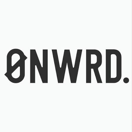 Organiseur d'Appuie-Tête ONWRD Daily Driver - BYD Shark 2024+